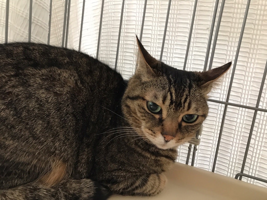 {76091BDC-F9B9-499C-8332-6AF43F45BDFA}