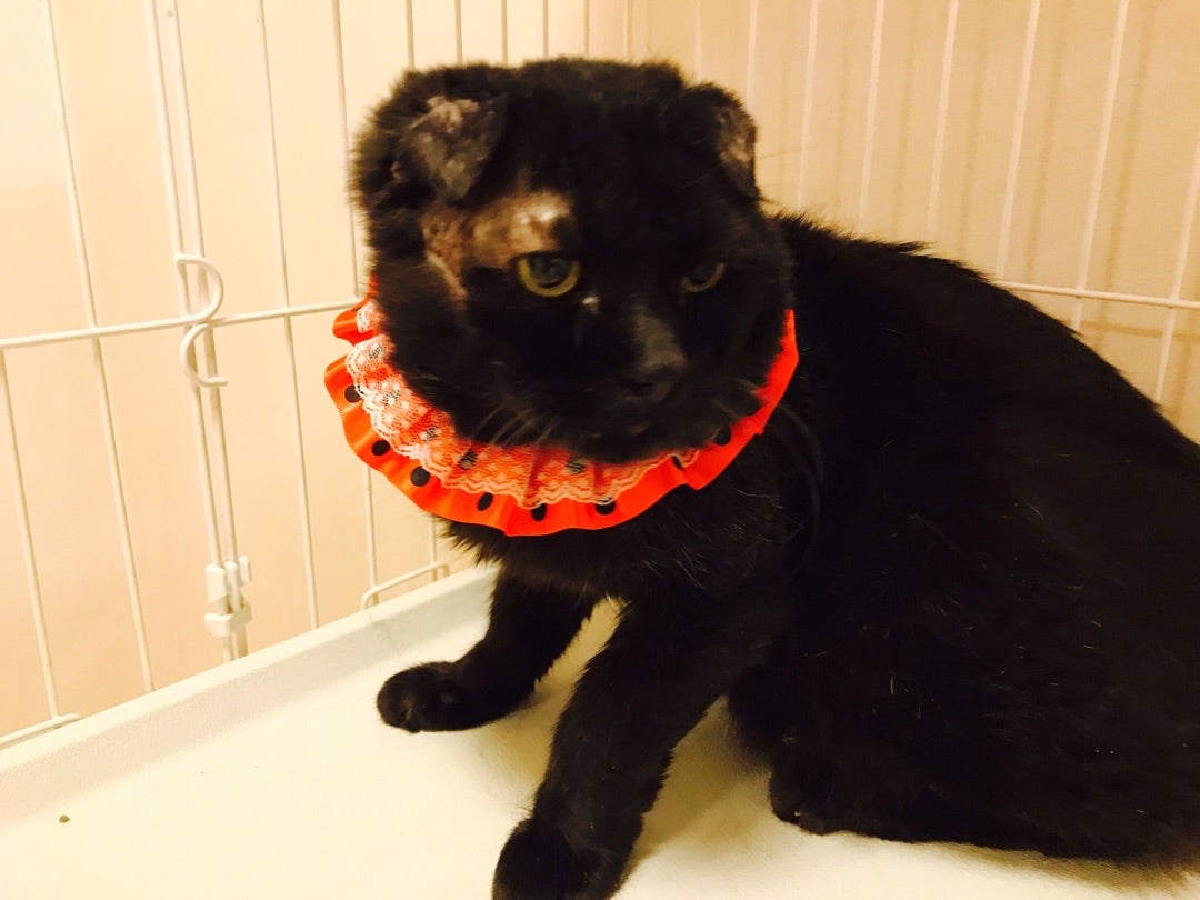 {15F5FD95-7930-43EF-801D-877176826F1E}